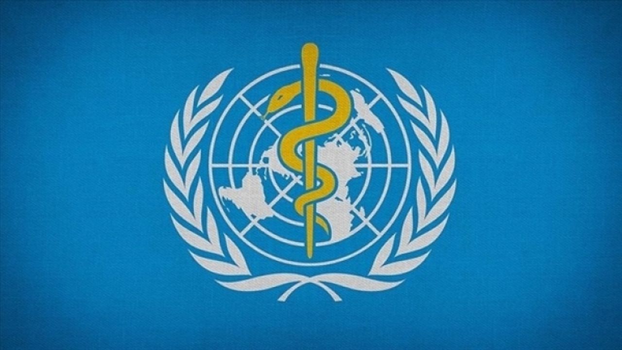 DSÖ: “Omicron varyantı en az 23 ülkede görüldü, aşıların etkisi henüz bilinmiyor”