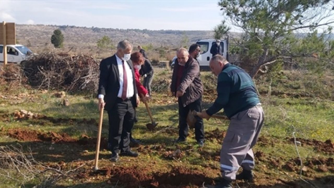 Pilli, Dr. Burhan Nalbantoğlu Anı Ormanı’nda ağaç dikme etkinliğine katıldı