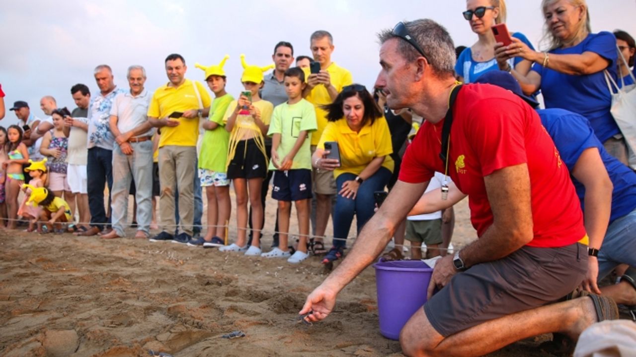 Alagadi Sahili’nde yeşil kaplumbağa ve caretta caretta yavruları mavi sularla buluştu