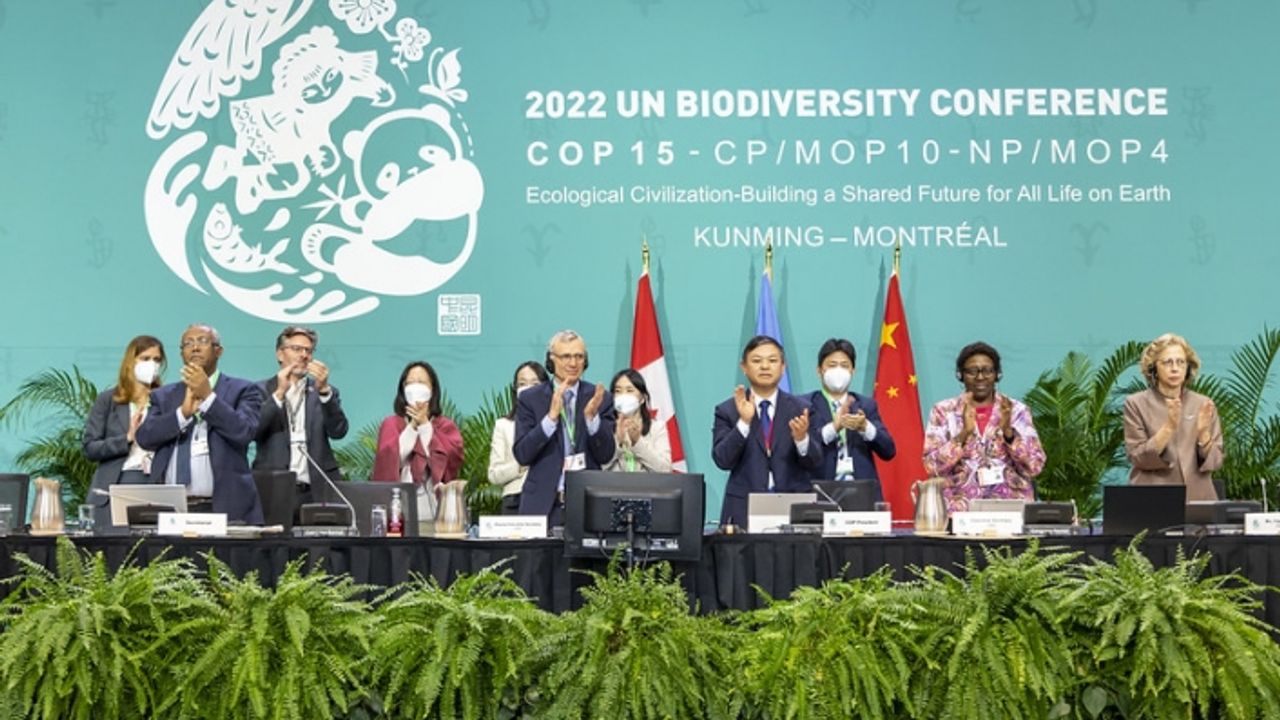 BM Biyoçeşitlilik Konferansı’nda biyoçeşitlilikteki kaybı önleme konusunda anlaşma sağlandı