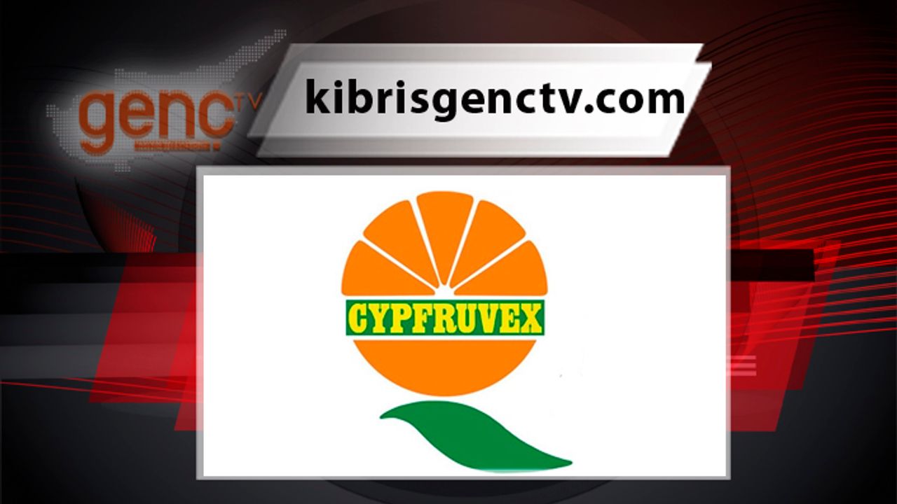 Cypfruvex: "Valensiya portakalının paketleme ihracat kalitesindeki ürün alımları devam ediyor"