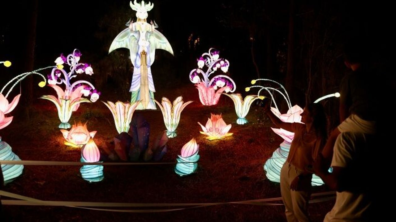 İstanbul'da "Ormanda Işık Festivali" düzenlendi