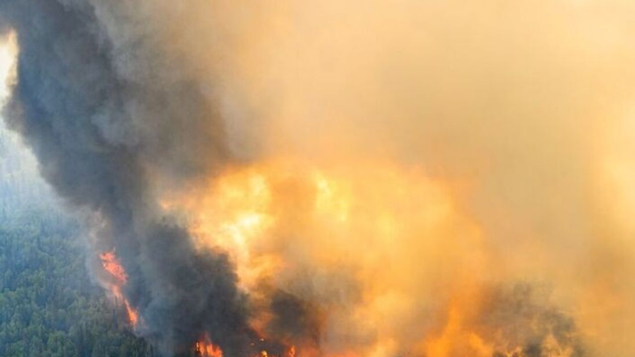 Kanada'nın en büyük yangınında şimdiye kadar yaklaşık 13,4 milyon hektar alan yandı