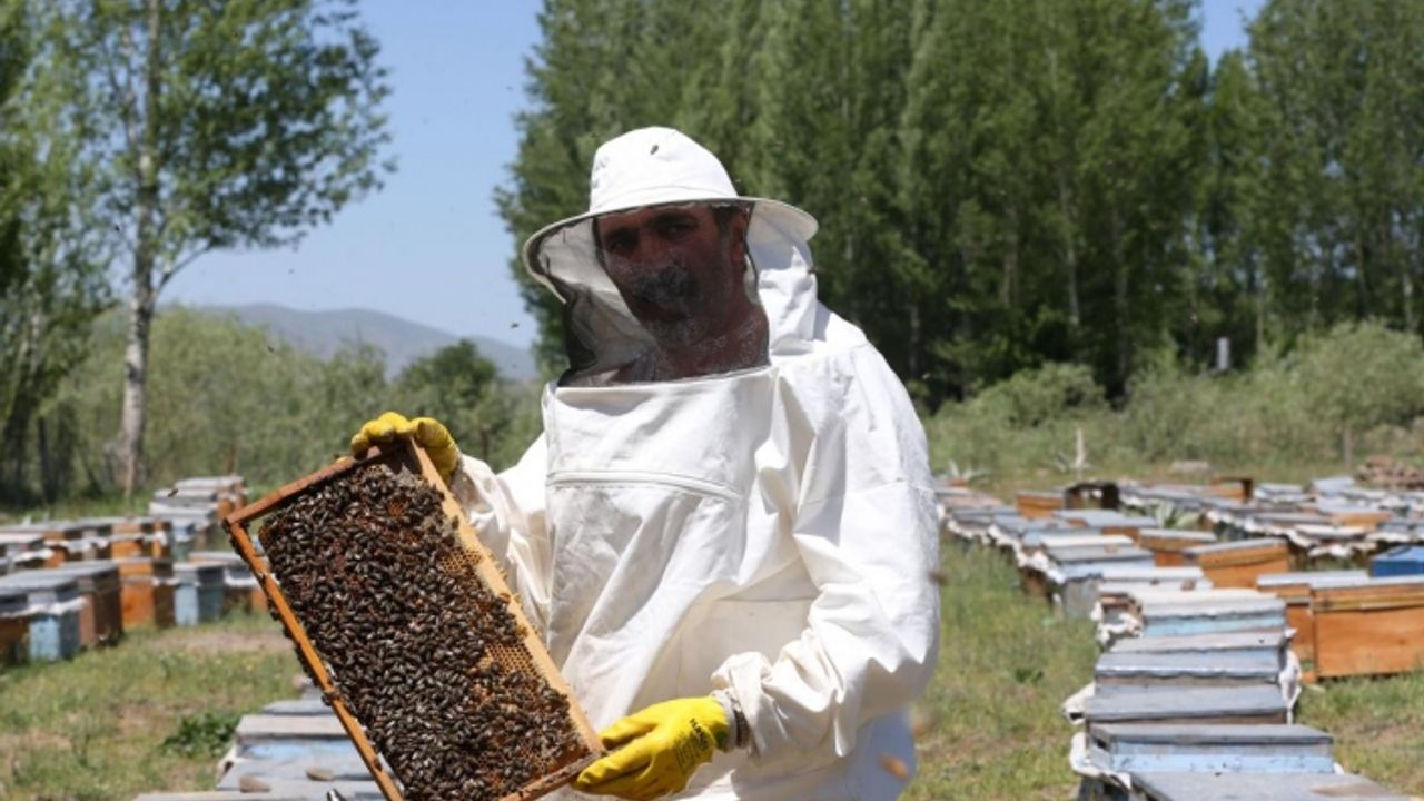 Arıcılık bildirimleri pazartesinden itibaren Veteriner Dairesi’ne yapılabilecek