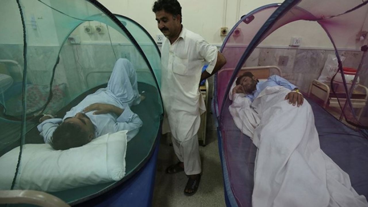 Bangladeş'te dang hummasından hayatını kaybedenlerin sayısı 618'e çıktı