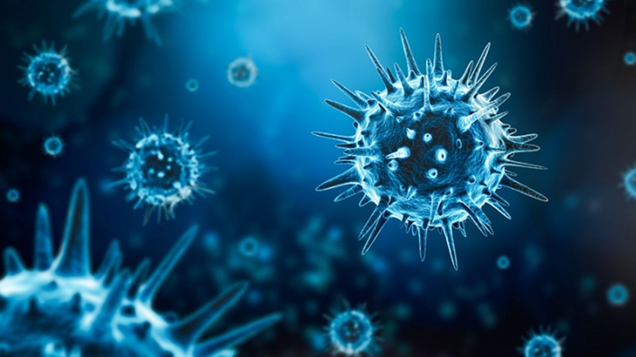 Çocuk Sağlığı ve Hastalıkları Uzmanı Arıca’dan okul sezonu öncesi ailelere süper enfeksiyon uyarısı