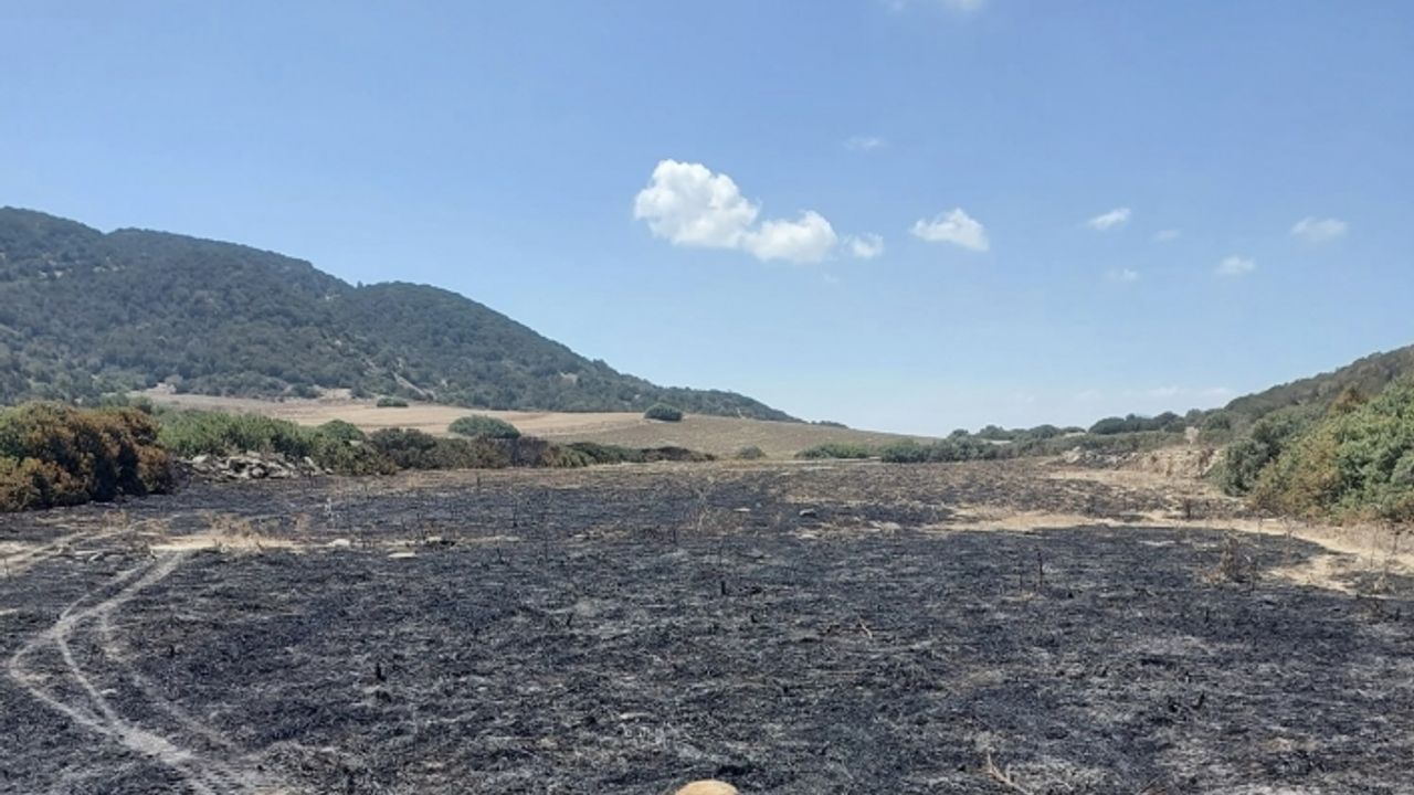 Dipkarpaz - Kaleburnu yolunda çıkan yangın, karadan ve havadan müdahale edilerek söndürüldü