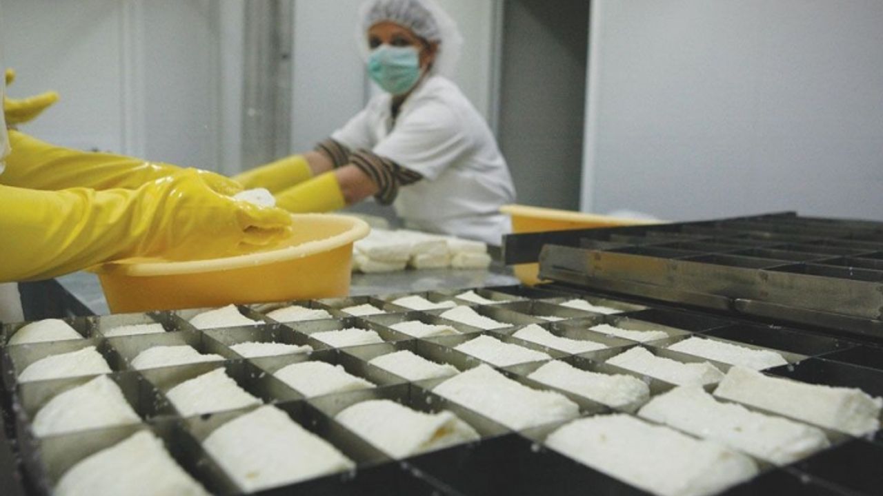 Güney Kıbrıs’taki hellim üreticileri anlaşmaya uymuyor