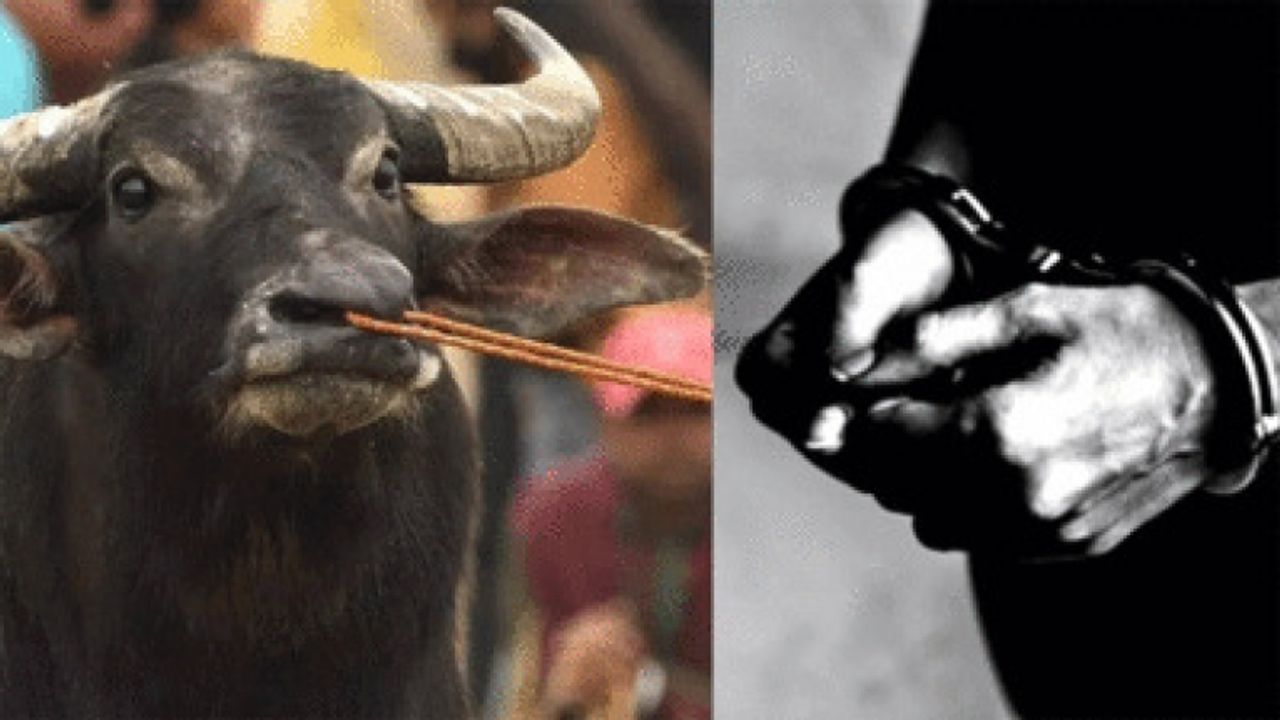 Hindistan'da 58 yıl önceki hırsızlık olayının zanlısı 78 yaşında yakalandı