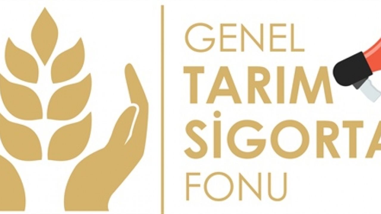 Büyükbaş hayvan düşük zararı olan üreticilere tazminatları ödendi