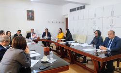 Yükseköğretimin denetlenmesi için kurulan meclis komitesi toplandı
