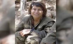 YPG-YPJ'nin sözde sorumlularından Emine Seyid Ahmed  etkisiz hale getirildi