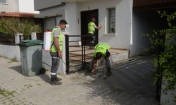 Gönyeli-Alayköy Belediyesi sivrisinek ve haşere ile "üç koldan" mücadele ediyor