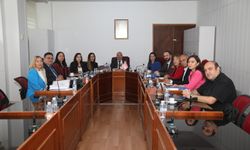 Yükseköğrenim kurumları ve YÖDAK'la ilgili Meclis araştırma komitesi YÖDAK Başkanı Hocanın'ı dinledi