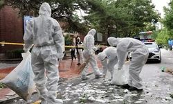 Kuzey Kore'den balonla gönderilen çöpler Güney Kore Devlet Başkanlığı yerleşkesine düştü