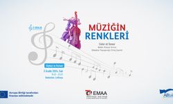 AB Bilgi Merkezi Dünya Engelliler Günü nedeniyle "Müziğin renkleri" isimli etkinlik düzenleyecek