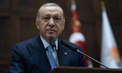 Erdoğan: Lübnan'da ateşkesten memnunuz