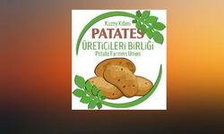 Patates Üreticiler Birliği: “Fahiş kar oranlarından ötürü fiyatlar 140 TL’ye kadar çıktı”