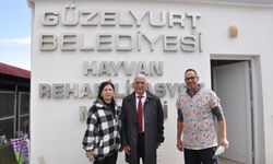 Güzelyurt Belediyesi ile NETAP İşbirliğinde Rehabilitasyon Merkezindeki kısırlaştırma çalışmaları başladı