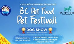 Çatalköy-Esentepe Belediyesi pet festivali düzenliyor