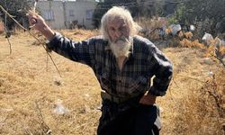 Sokakta yaşayan Kızıler, Kalkanlı Yaşama Evi’ne yerleştirildi