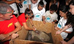 Caretta Caretta kaplumbağalarına uydu vericisi takıldı