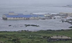 Tsunami dalgaları Rusya, Japonya ve ABD kıyılarına ulaştı