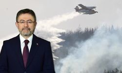 Çanakkale'nin Gelibolu bölgesindeki orman yangını tamamen kontrol altına alındı