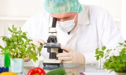 Gıda denetimleri…