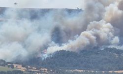 Çanakkale'de orman yangını
