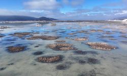 Dünya Bankası: Dünyanın yıllık tatlı su kaybı 280 milyon kişinin ihtiyacını karşılayabilir