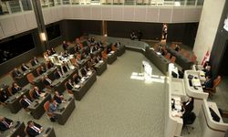 Bütçe görüşmeleri devam ediyor...Sivil Savunma Teşkilatı Başkanlığı bütçesi oy birliğiyle kabul edildi