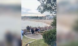 Avustralya'da plajda saldırı: Ölü sayısı 12 oldu