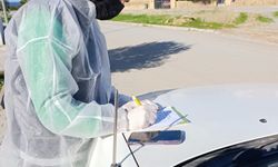 Çatalköy-Esentepe Belediyesi’nden şap hastalığına karşı üst düzey önlem