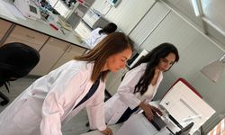 Piyasada zeytin yağı denetimi.. 1 ürün tağşişli