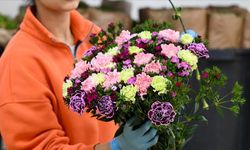 Türkiye'den yılbaşı için 12 milyon dolarlık çiçek ihracatı