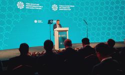 Ertuğruloğlu: Dezenformasyon insan haklarını ihlal ediyor