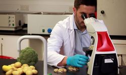 Haftalık gıda denetimleri