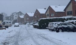 Almanya'da soğuk hava yaşamı olumsuz etkilemeye devam ediyor