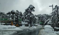 Trodos Dağları’nda yoğun kar yağışı