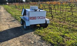 Üzüm bağlarında verim ve kaliteyi artıracak otonom robot geliştirildi