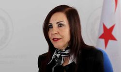 Emine Dizdarlı: Sayın Başbakan’ın yargıya yetki veya talimat verme olanağı yok, Anayasa'ya aykırı