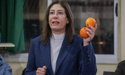 İncirli, Yeşilyurt ve Doğancı’yı ziyaret ederek üreticilerle bir araya geldi