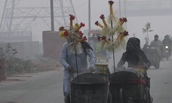 Pakistan'da etkili olan yoğun sisin yol açtığı trafik kazalarında 10 kişi öldü