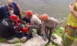 Dağa tırmanış yaparken düşüp yaralanan kişi itfaiye ve Sivil Savunma ekiplerince kurtarıldı