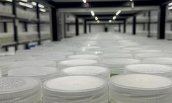 ABD'de "yasa dışı biyolojik laboratuvar" işletildiği şüphesiyle İsrail vatandaşı 1 kişi gözaltına alındı