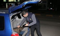 550 sürücü rapor, 57 araç trafikten men edildi, 11 kişi tutuklandı