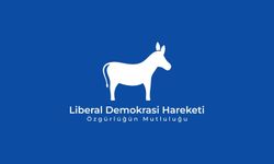 Liberal Demokrasi Hareketi: “2026 bütçesinin yaklaşık yüzde 75’i maaş ve cari transferlere gidiyor”
