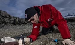 Türk bilim insanları Antarktika'daki araştırmalarıyla sağlık ve tarıma ışık tutuyor