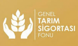 Mavi Dil hastalığından zarar gören üreticilere tazminat ödendi